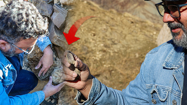 Bingöl'de 50 Milyon Yıllık Taşlar Keşfedildi