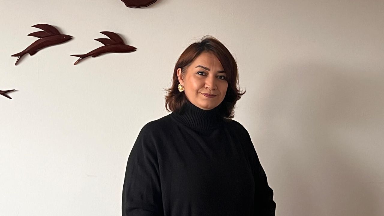 Sosyolog Harman: TOKİ, Modern Yaşamın Denetim Mekanizması